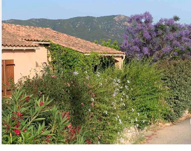 Charmante Proche Aeroport Bed & Breakfast Afa